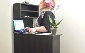 Белле Стелле София